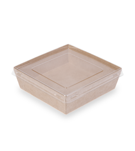 Крышка ПЭТ квадрат плоская к контейнеру 800 мл., OSQ SmartPack, 163*163*13,5мм, (50шт/уп) /50/200/